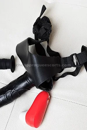BDSM Lady Escort